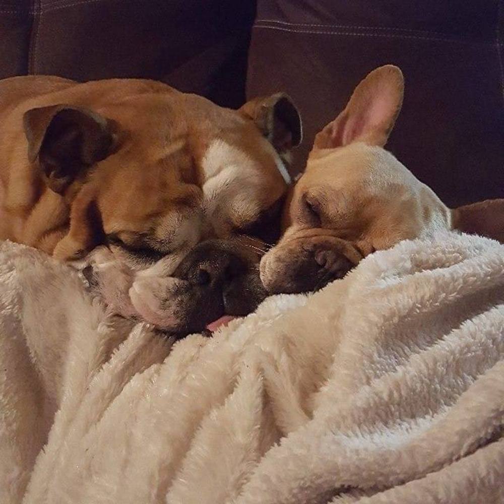 Meet your Posher, Jill